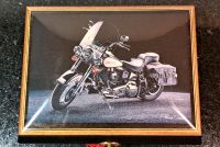 Harley Davidson Tank Spiegel Taschen Ständer Lampe Zubehörteile Hessen - Hainburg Vorschau