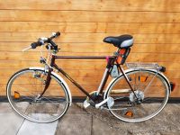 Schweizer Alpla Werke Fahrrad Retro Style Rennrad Citybike Herren Bayern - Thalmassing Vorschau