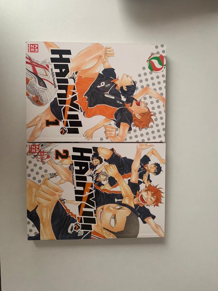 Haikyu!! Manga in Iserlohn