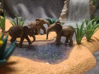 Schleich Wild Life Elefanten Babys außer Rand und Band Bayern - Velburg Vorschau