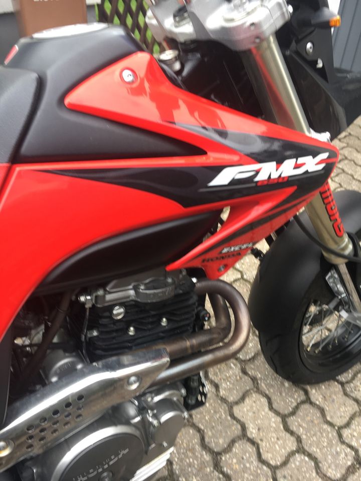 Motorrad  FMX 650 in Hilpoltstein