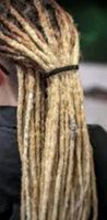 Dread,dreadlocks, braids,hairstyles Berlin - Spandau Vorschau