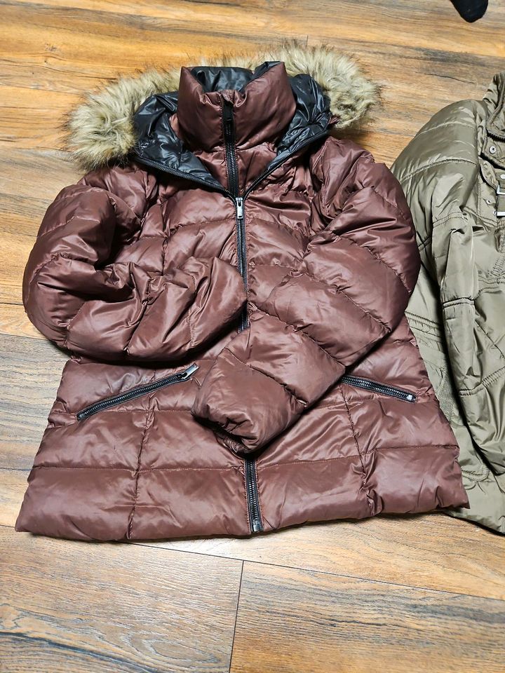 Damen Winter Jacke Jacken Gr M Esprit, Tom Tailor in Essen