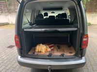 Caddy Sitzbank 2er Sitz Dresden - Blasewitz Vorschau