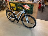 Hercules Futura Sport I-9 E-Bike !NEU! Fahrrad Baden-Württemberg - Grenzach-Wyhlen Vorschau