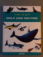 Wale und Delfine Wissen ist stark Nordrhein-Westfalen - Greven Vorschau