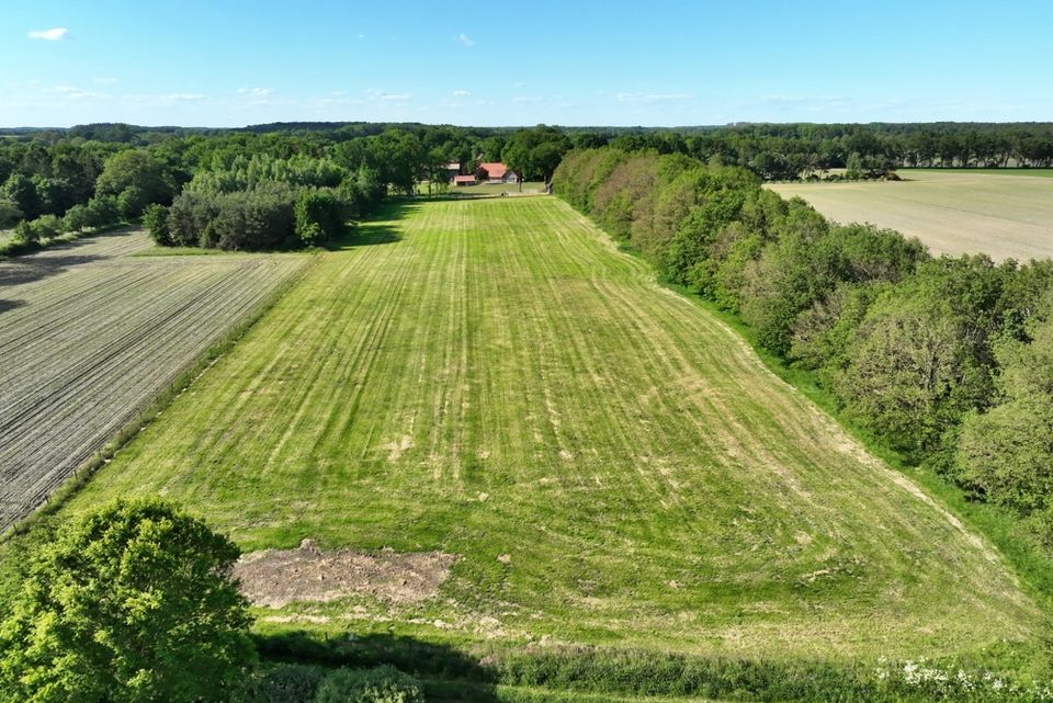 Hofstelle mit toller Reitanlage in Selsingen