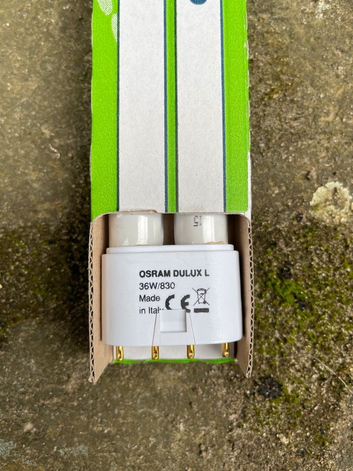 Osram Dulux L in Kempen