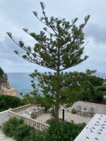 Ref. 13358 MALLORCA  Erdgeschosswohnung mit Meerblick Baden-Württemberg - Grafenau Vorschau