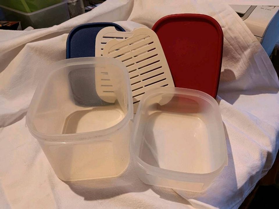 Tupperware 2 Behälter zur Aufbewahrung in Niebüll