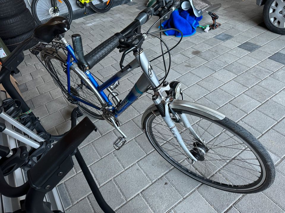 Hercules Damen Fahrrad 28 Zoll in Stockach