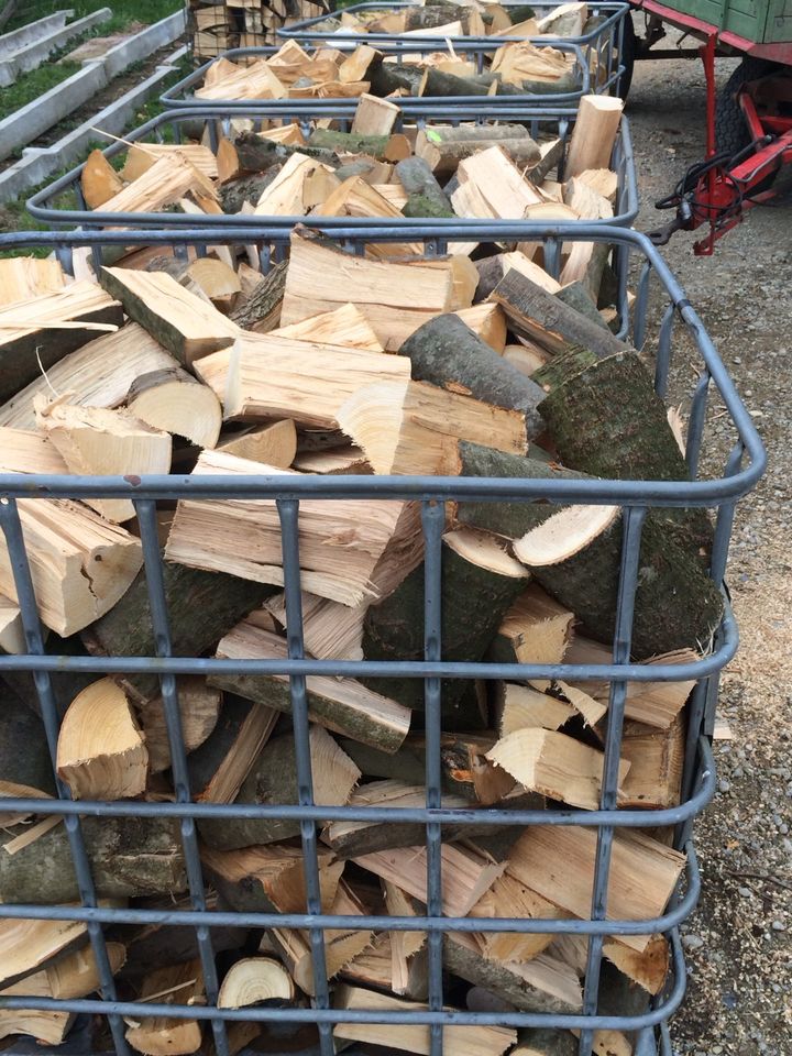 Brennholz Buche frisch 25,30,33,40,45,50cm möglich in Hollenbach
