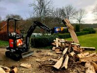 Holzspalten, Kegelspalter, Feuerholz,  Baggerarbeiten Niedersachsen - Bremervörde Vorschau