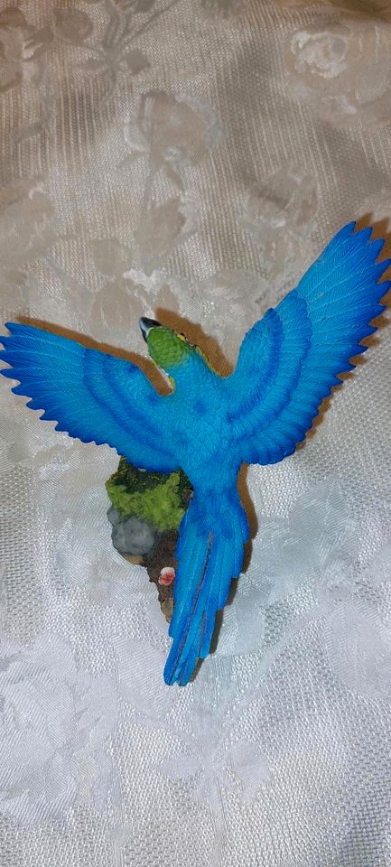 Wunderschöner blauer Papagei Ara im Flug in Pfarrkirchen