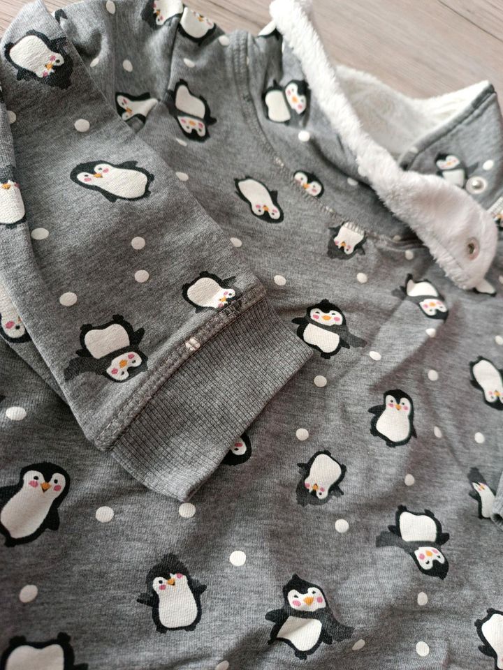 Topomini Pinguin Pullover Gr. 86 in Höchstadt