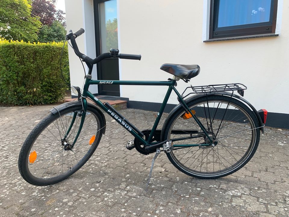 Herren Fahrrad in Vechta