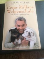 Cesar Millans Welpenschule Buch Dresden - Seidnitz/Dobritz Vorschau