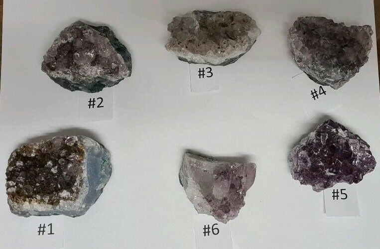 Amethyst Sammlung mit 6 Edelstein Drusen im Holzkästchen in Dresden