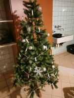 Weihnachtsbaum, Krippe Nordrhein-Westfalen - Stadtlohn Vorschau