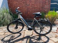 E-Bike Giant Anytour E+ 2 LDS, Gr. L, neuwertig, Akku 625 Wh Nordrhein-Westfalen - Arnsberg Vorschau