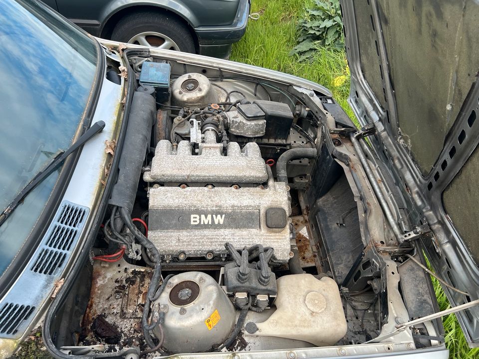 BMW E30 318is in Bodenheim