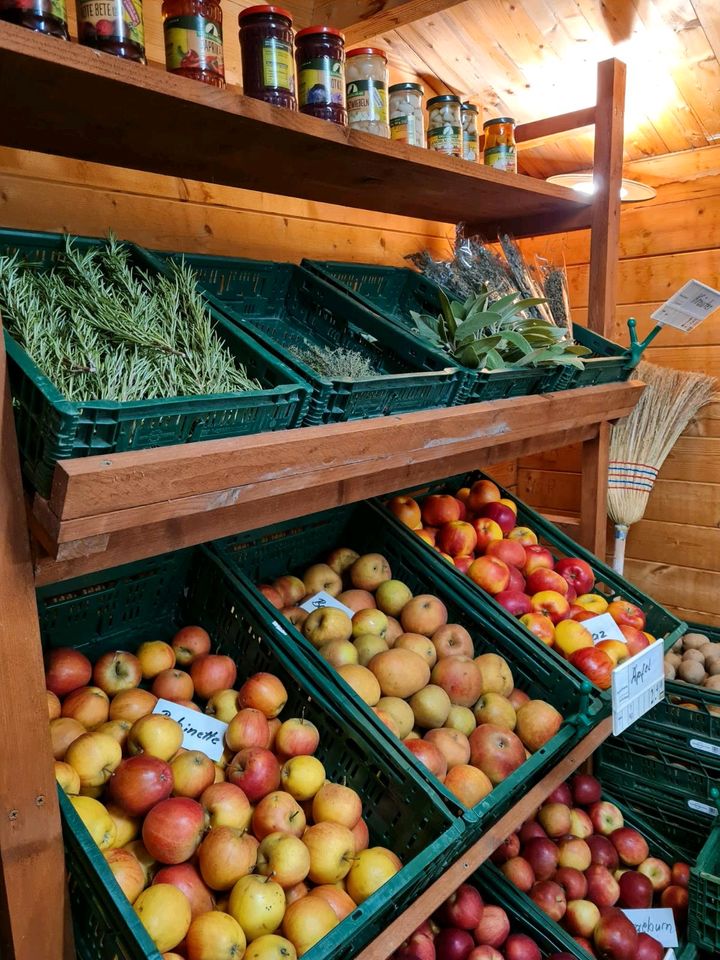 Frische von Hier aus der Region Äpfel, Kartoffeln.... in Petersberg (Saalekreis)