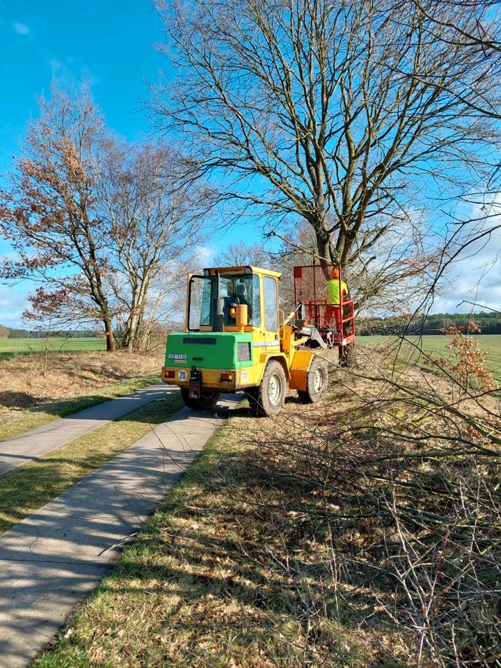 Baumbeschnitt Wege Freischneiden Feldränder Beschneiden in Wittstock/Dosse