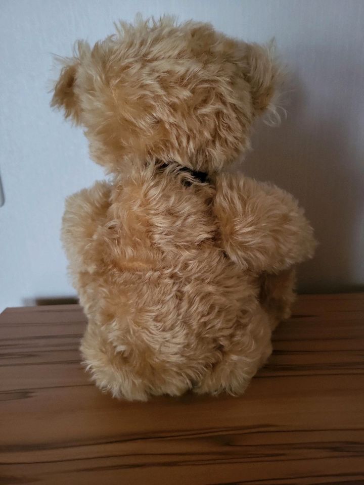 Steiff Jahrtausend-Teddybär Bär limitiert in Rotenburg