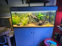 Aquarium 300 liter komplett Nordrhein-Westfalen - Geilenkirchen Vorschau