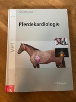 Pferdekardiologie Schleswig-Holstein - Flensburg Vorschau