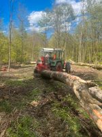 Brennholz , Stammholz , Holz Bayern - Irsee Vorschau