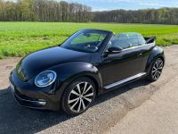 VW Beetle Cabrio Automatik Nordrhein-Westfalen - Hamminkeln Vorschau