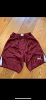 Shorts kurze Hose Sport Badehose Puma 164 Bordeaux Bayern - Berngau Vorschau