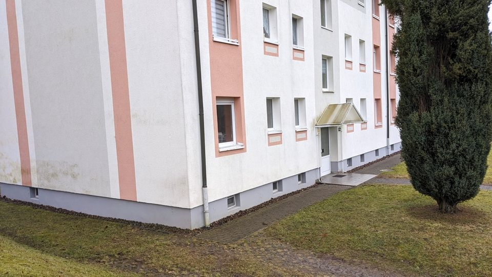 Exklusive 5-Zimmer-Wohnung mit 2 Eingängen, 2 Bädern, Hauswirtschaftsraum und Keller im Erdgeschoss! in Zella-Mehlis