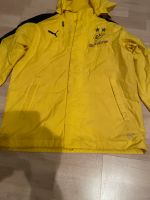 ORG.BVB Jungen Regenjacke 152 Dortmund - Lütgendortmund Vorschau