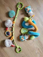 Spielzeug für Babywanne, Babyschale Maxi cosi Hessen - Reiskirchen Vorschau