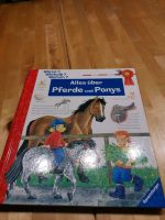 Wieso weshalb warum alles über Pferde und Ponys Kreis Pinneberg - Appen Vorschau