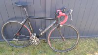 Rennrad Triathlonrad Cucuma Nordrhein-Westfalen - Lippstadt Vorschau