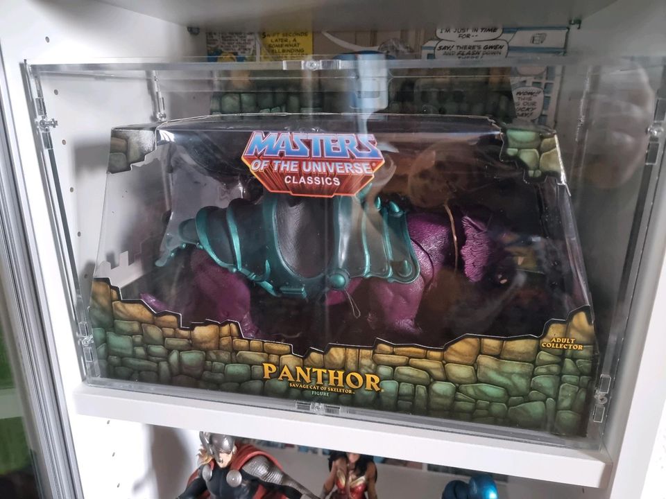 Masters of the universe classics panthor in Salzgitter