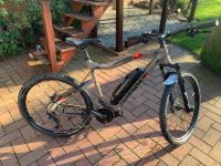 Haibike SDURO HardSeven 4.0 Niedersachsen - Nienhagen Vorschau