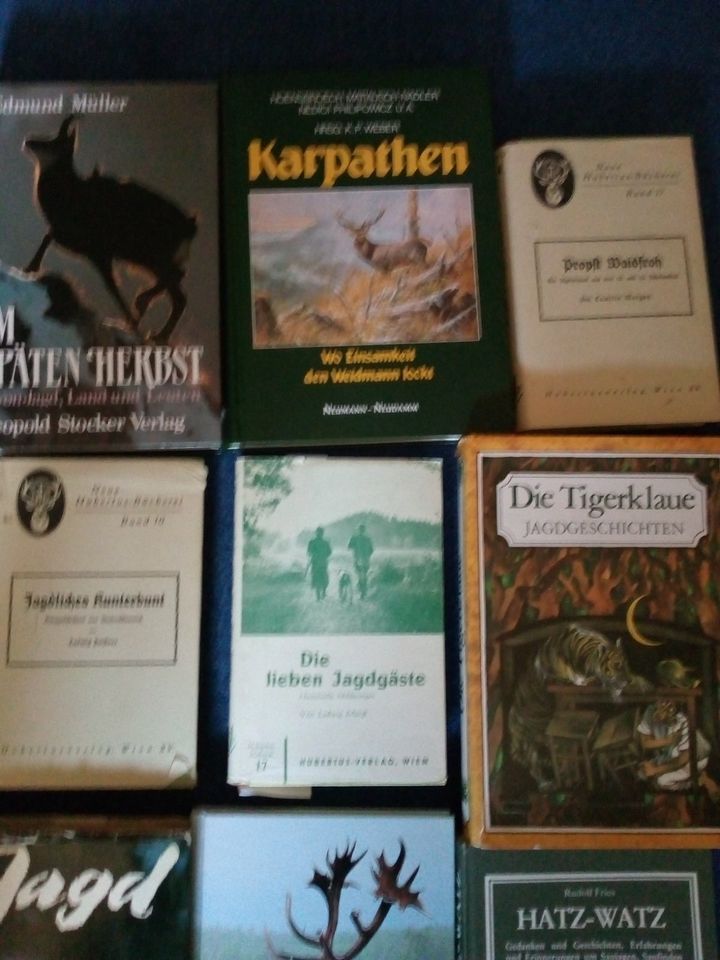 Konvolut Fach Bücher Jagd Wild Rothirsch Schwein Hege Parey ua. in Meuselbach