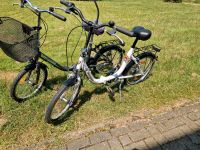 2x Klapprad 20 Zoll Niedersachsen - Langelsheim Vorschau