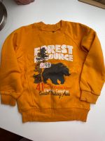 Gelber Pullover Forest Resource Gr. 98/104 Berlin - Mitte Vorschau