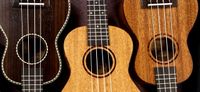 Ukulele Workshop Anfänger Baden-Württemberg - Schwäbisch Gmünd Vorschau