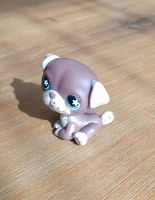 Littlest Pet Shop LPS Spielfigur Spielzeug Hund Dog Baden-Württemberg - Hockenheim Vorschau