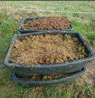 Pferdemist Dünger Hochbeet Gemüse Rosen Garten Wurmkompost Tomate Bayern - Hersbruck Vorschau