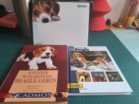 Bücherpaket Beagle Hessen - Ahnatal Vorschau