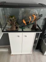 Aquarium, 126L, komplett (mit Unterschrank und Zubehör) Baden-Württemberg - Dettenheim Vorschau