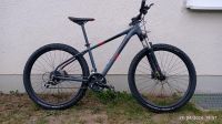 AXESS DEBRIS  27.5" DAMEN und JUGENDLICHE Bayern - Garmisch-Partenkirchen Vorschau