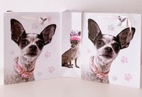 3 wunderschöne große Geschenktüten Chihuahua Dogshower Party Hessen - Friedrichsdorf Vorschau